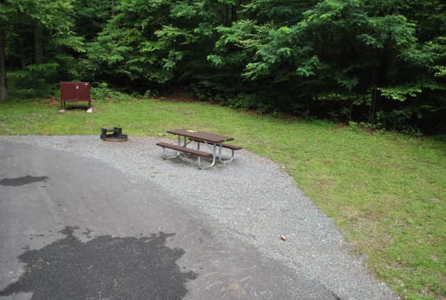Mathews Arm Campground – Site A033