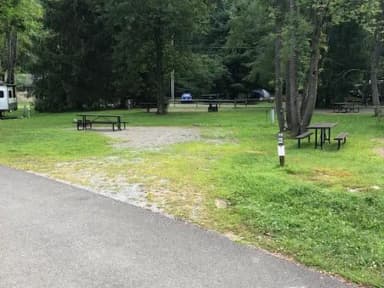 A photo of Site 079 of Loop 2 at TIONESTA REC. AREA CAMPGROUND with Full Hookup