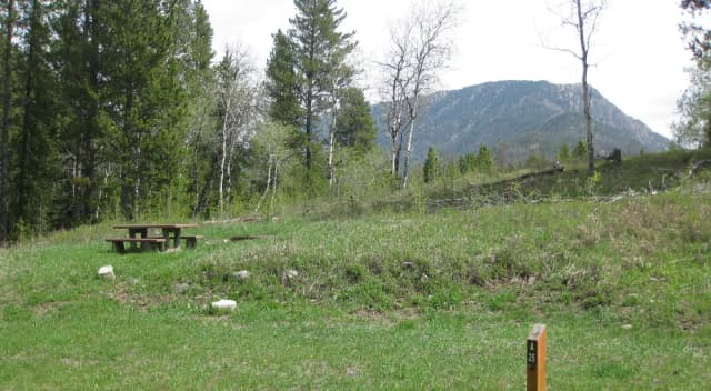 Site A25, campsite surrounded by pine trees, picnic table & fire ring