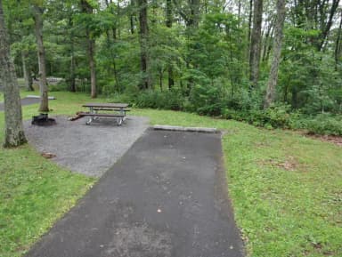 Mathews Arm Campground – Site A034