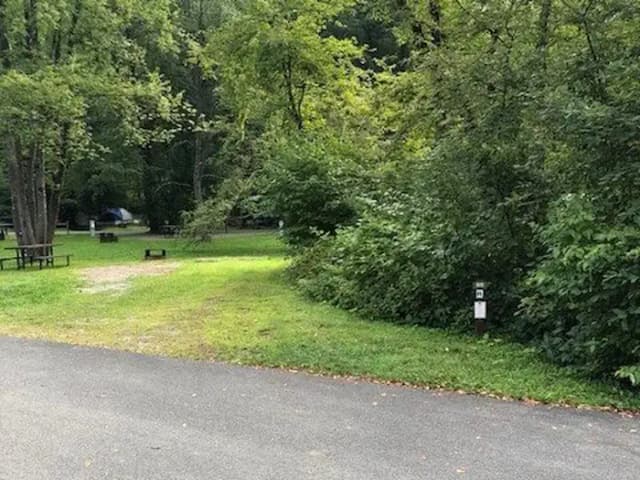 Loop 2 · Site 080 at Tionesta Rec. Area Campground