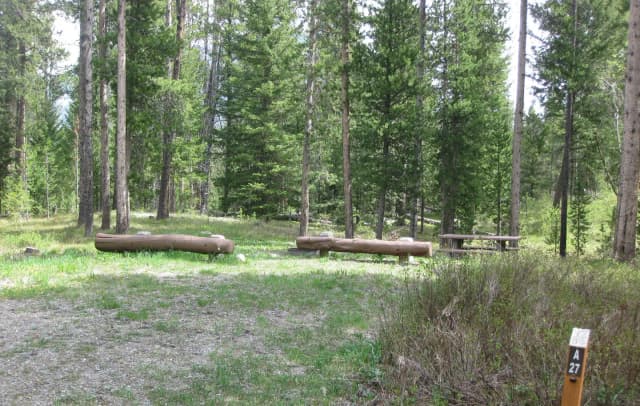 Site A27, campsite surrounded by pine trees, picnic table & fire ring