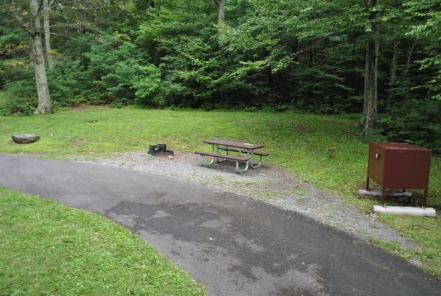 Mathews Arm Campground – Site A035