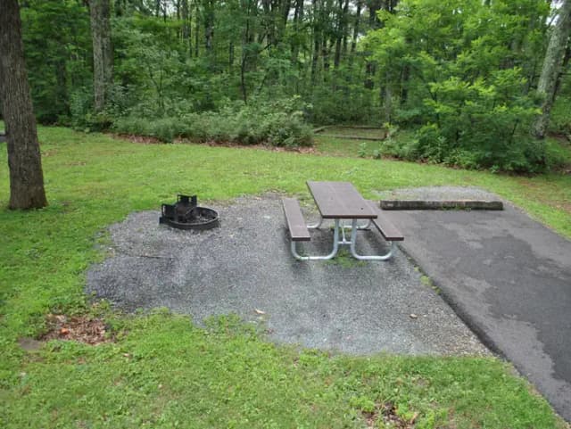 Mathews Arm Campground – Site A036