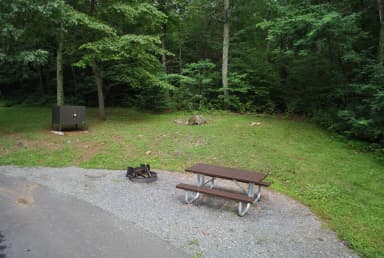 Mathews Arm Campground – Site A037