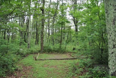 Mathews Arm Campground – Site A038 (Tent Pad)