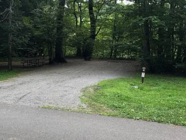 A photo of Site 085 of Loop 3 at TIONESTA REC. AREA CAMPGROUND with Full Hookup