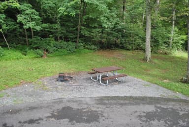 Mathews Arm Campground – Site A039