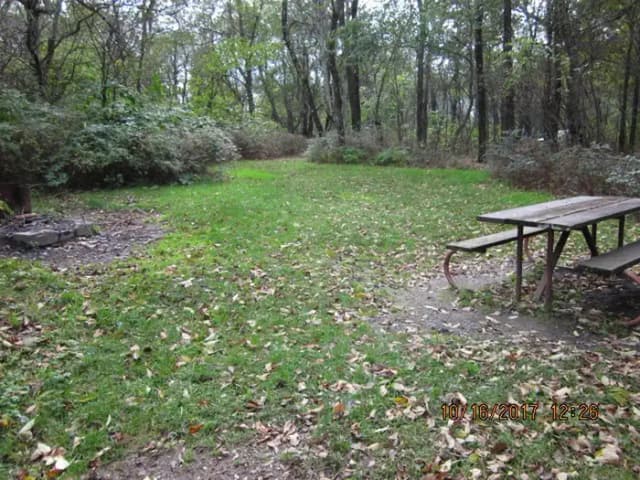 Site G186 with Picnic Table and Grill