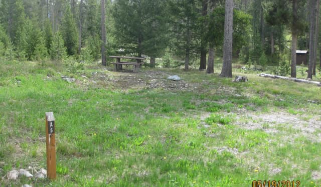 Site A5, campsite surrounded by pine trees, picnic table & fire ring