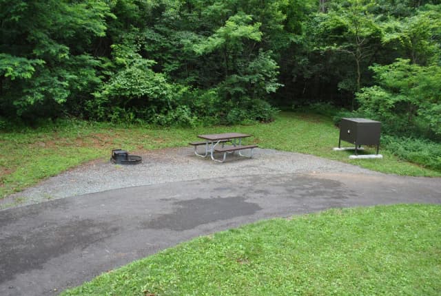 Mathews Arm Campground – Site A041