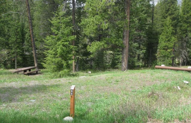 Site A6, campsite surrounded by pine trees, picnic table & fire ring