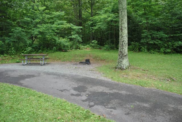 Mathews Arm Campground – Site A042
