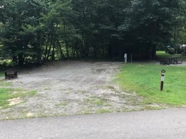 A photo of Site 089 of Loop 4 at TIONESTA REC. AREA CAMPGROUND with Picnic Table, Electricity Hookup, Sewer Hookup, Full Hookup, Water Hookup