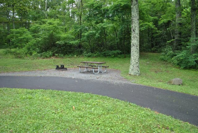 Mathews Arm Campground – Site A043