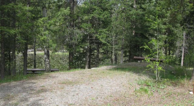 Site A7, campsite surrounded by pine trees, picnic table & fire ring