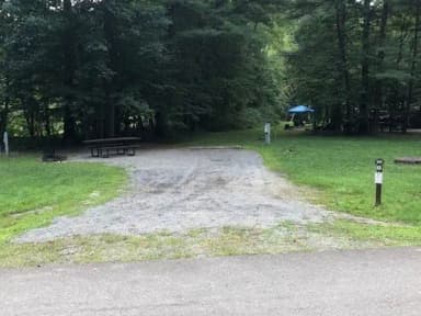 A photo of Site 090 of Loop 4 at TIONESTA REC. AREA CAMPGROUND with Full Hookup