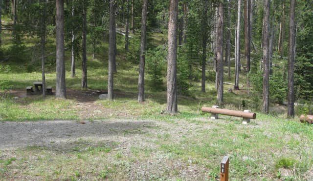 Site A8, campsite surrounded by pine trees, picnic table & fire ring