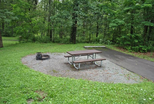 Mathews Arm Campground – Site A044