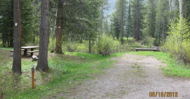 Site A9, campsite surrounded by pine trees, picnic table & fire ring