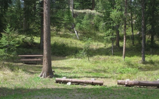 Site B1, campsite surrounded by pine trees, picnic table & fire ring