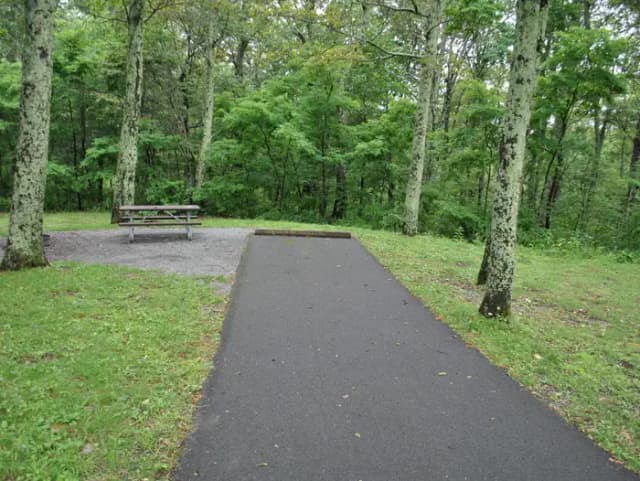 Mathews Arm Campground – Site A046