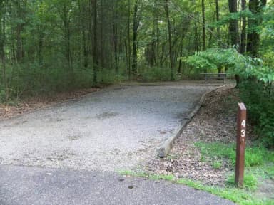 Loop OAK · Site O43 at Mill Creek Camping (Berlin Lake)