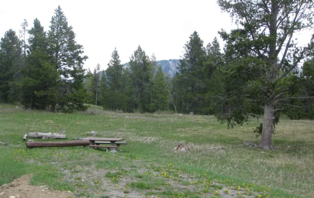 Site B10, campsite surrounded by pine trees, picnic table & fire ring