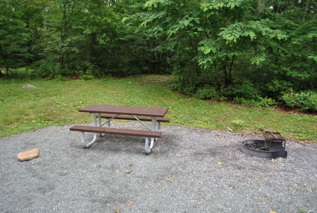 Mathews Arm Campground – Site A047
