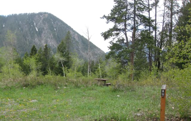 Site B11, campsite surrounded by pine trees, picnic table & fire ring