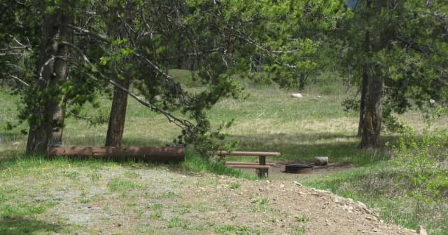 Site B12, campsite surrounded by pine trees, picnic table & fire ring