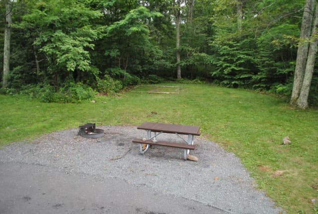 Mathews Arm Campground – Site A049