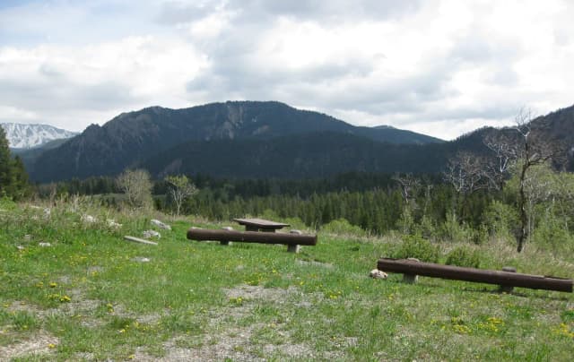 Site B13, campsite surrounded by pine trees, picnic table & fire ring