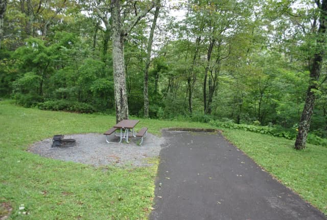 Mathews Arm Campground – Site A050