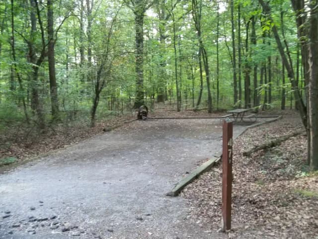 Oak 47