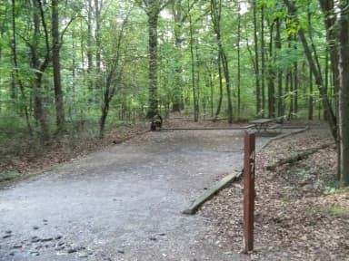 Loop OAK · Site O47 at Mill Creek Camping (Berlin Lake)