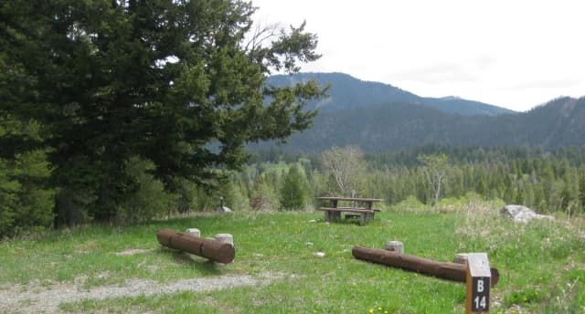 Site B14, campsite surrounded by pine trees, picnic table & fire ring