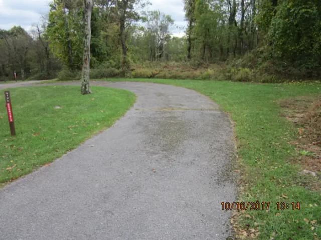 Site G198