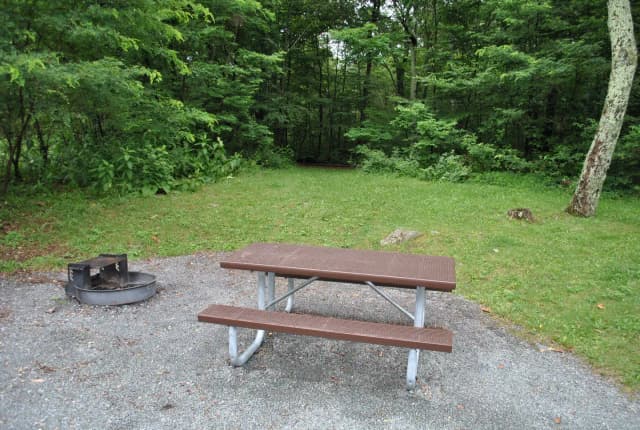 Mathews Arm Campground – Site A051