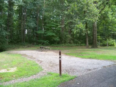 Loop OAK · Site O48 at Mill Creek Camping (Berlin Lake)