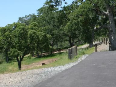 Big Oak 113-132 · Site 126 at Glory Hole Recreation Area