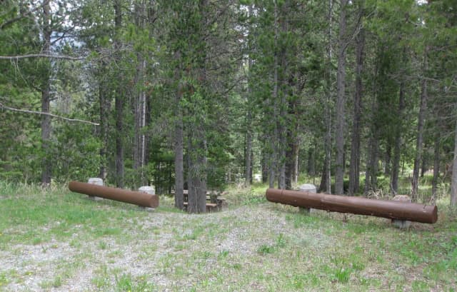 Site B15, campsite surrounded by pine trees, picnic table & fire ring