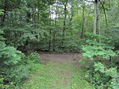 A      - 14 Day Advance Purchase · Site A051 Generator Prohibited at Mathews Arm Campground