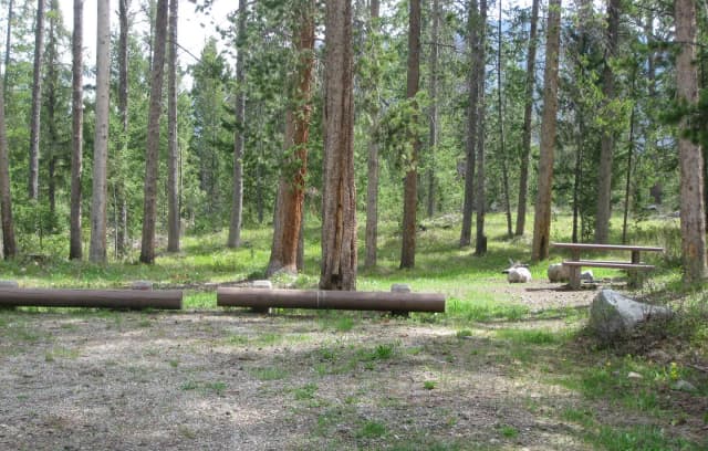 Site B2, campsite surrounded by pine trees, picnic table & fire ring