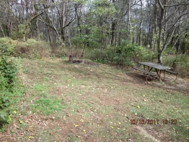 Site G201 with Picnic Table and Grill