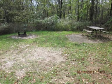 Site G202 with Picnic Table and Fire Pit