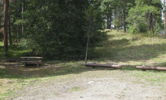 Site B3, campsite surrounded by pine trees, picnic table & fire ring