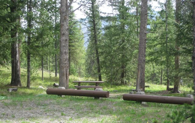 Site B4, campsite surrounded by pine trees, picnic table & fire ring