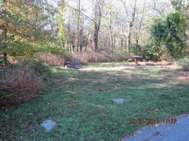 Site G204 with Picnic Table and Fire Pit