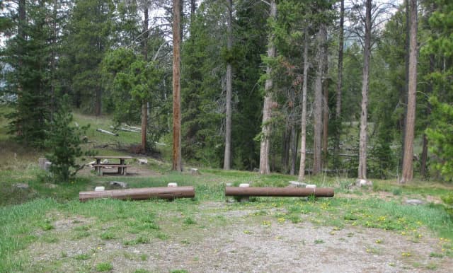 Site B5, campsite surrounded by pine trees, picnic table & fire ring